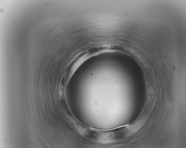 X0000066510096200603241317