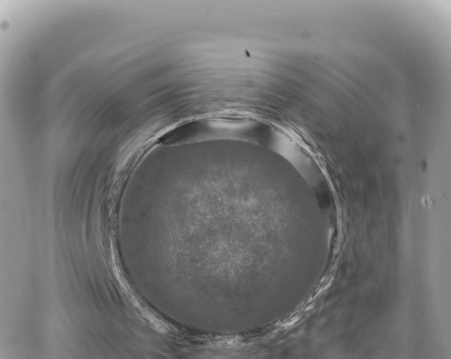 X0000066510097200603241317