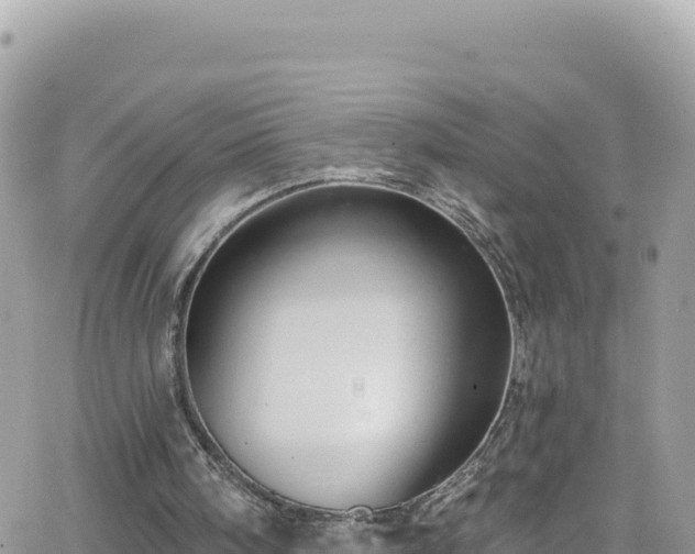 X0000066510098200603241317