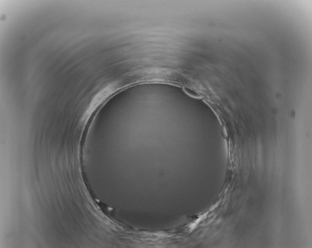 X0000066510099200603241317