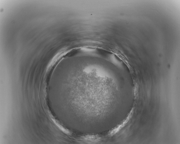 X0000066510101200603241317