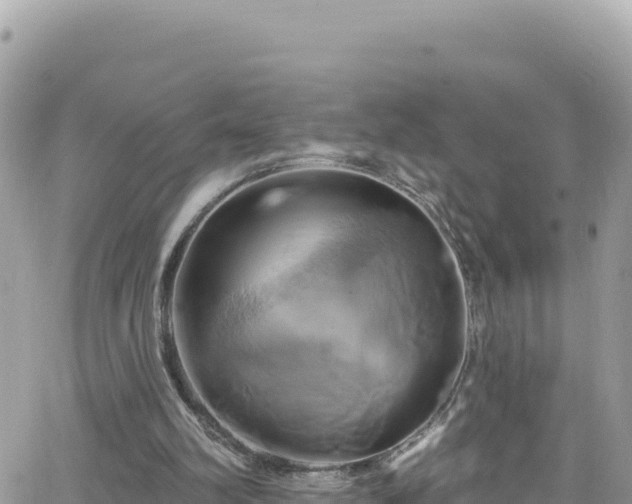 X0000066510102200603241317