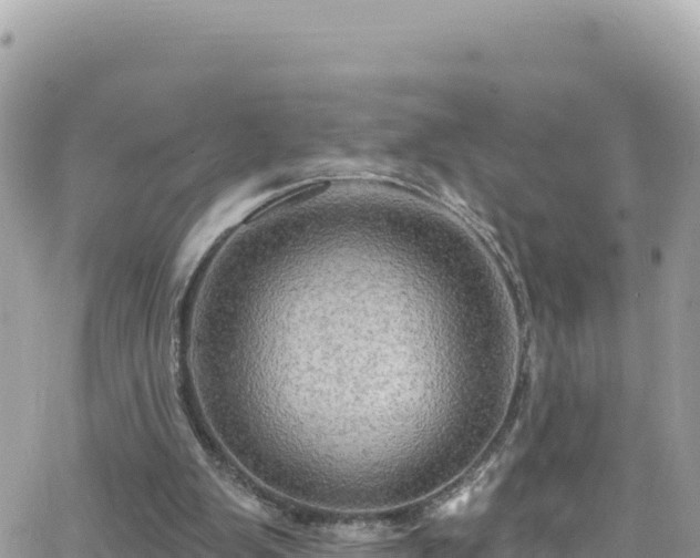 X0000066510103200603241317