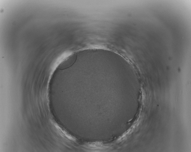 X0000066510104200603241316