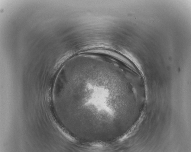 X0000066510105200603241316