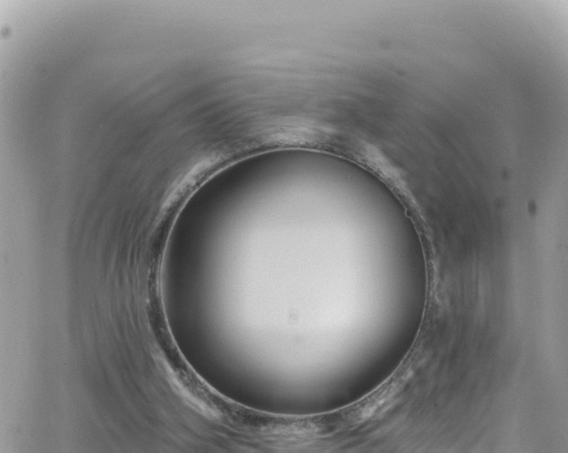 X0000066510106200603241316