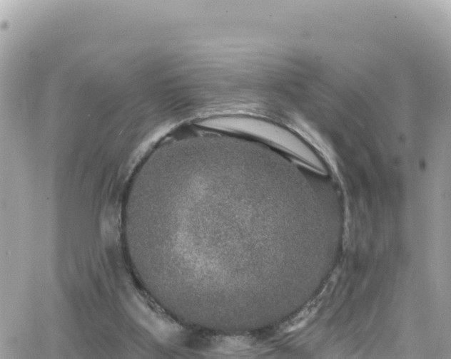 X0000066510107200603241316