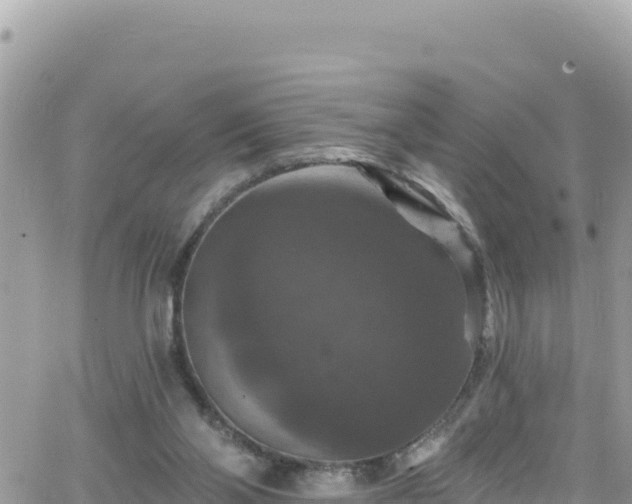 X0000066510110200603241316