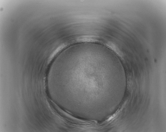 X0000066510111200603241316