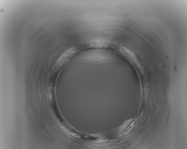 X0000066510114200603241316