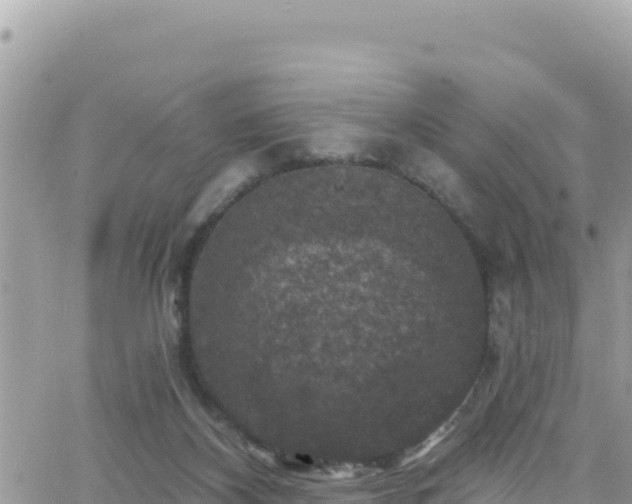 X0000066510116200603241316