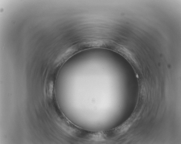 X0000066510118200603241316