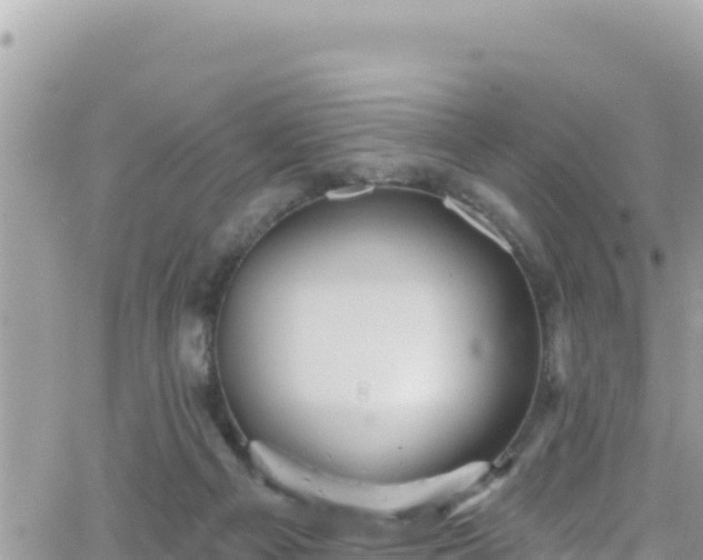 X0000066510121200603241316