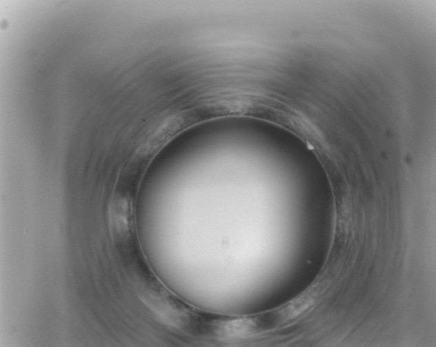 X0000066510122200603241316