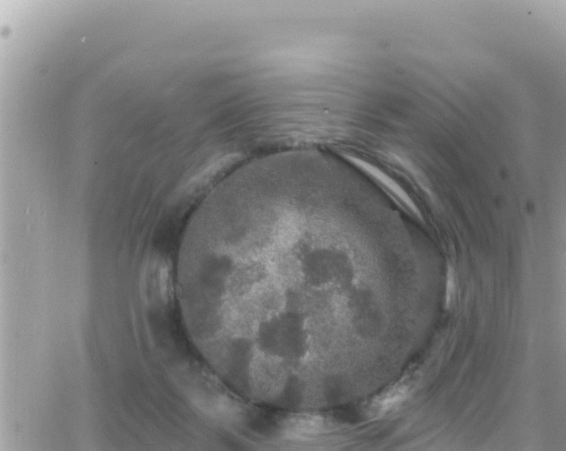 X0000066510123200603241316