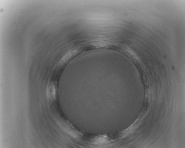 X0000066510124200603241316