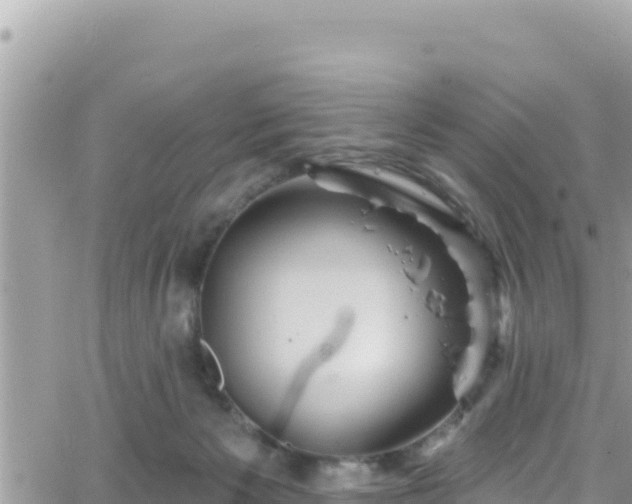 X0000066510125200603241316