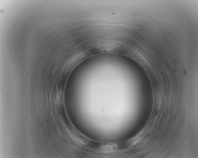 X0000066510126200603241316