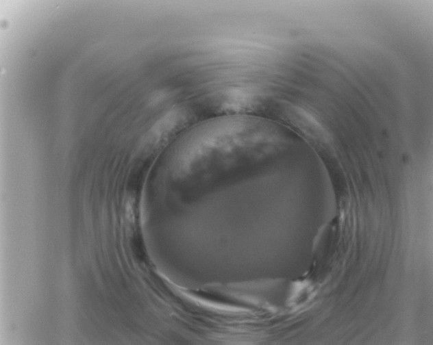 X0000066510127200603241316