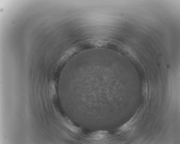 X0000066510128200603241316