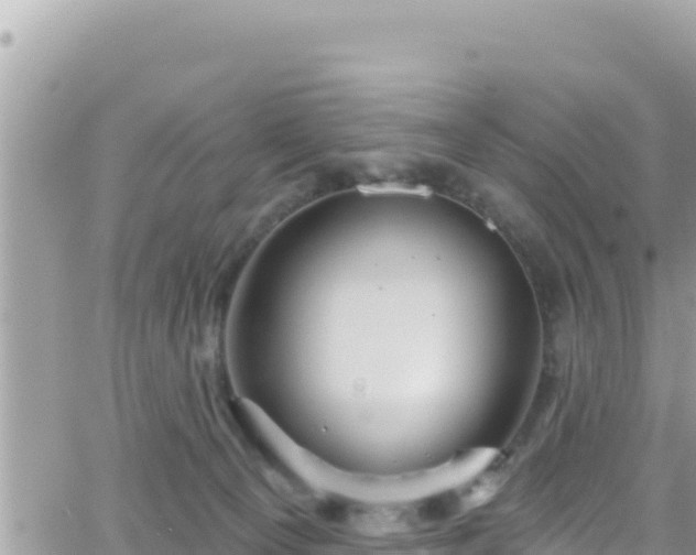 X0000066510129200603241316