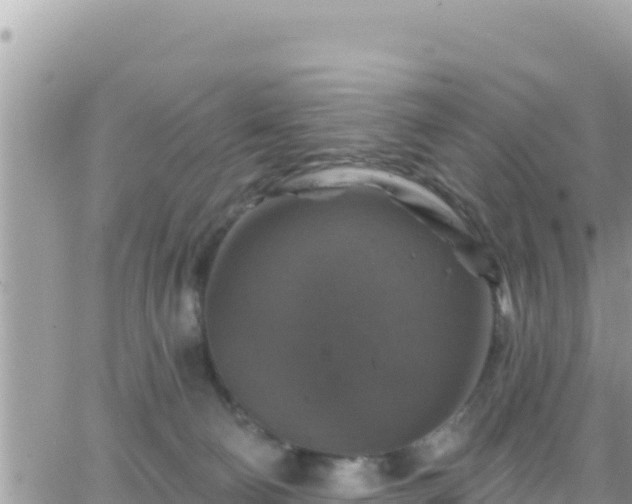 X0000066510130200603241316