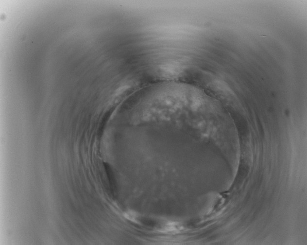 X0000066510131200603241316