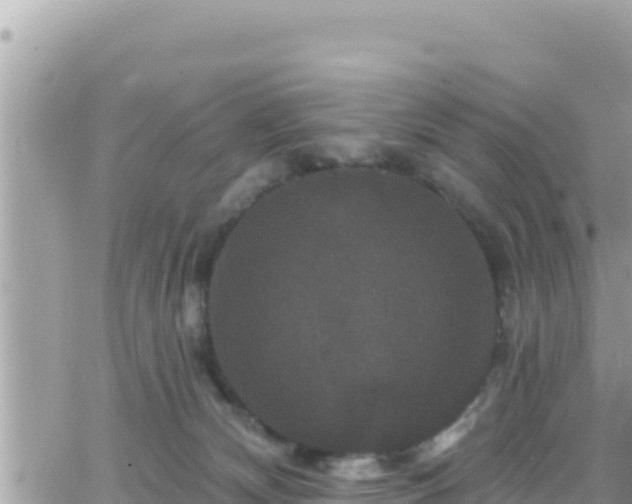 X0000066510132200603241316