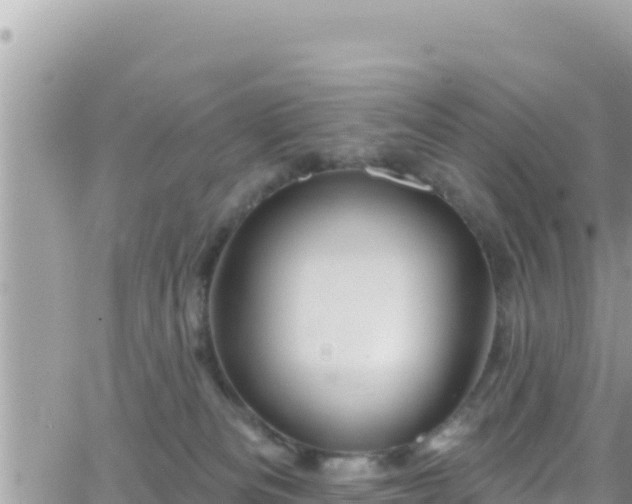 X0000066510133200603241316