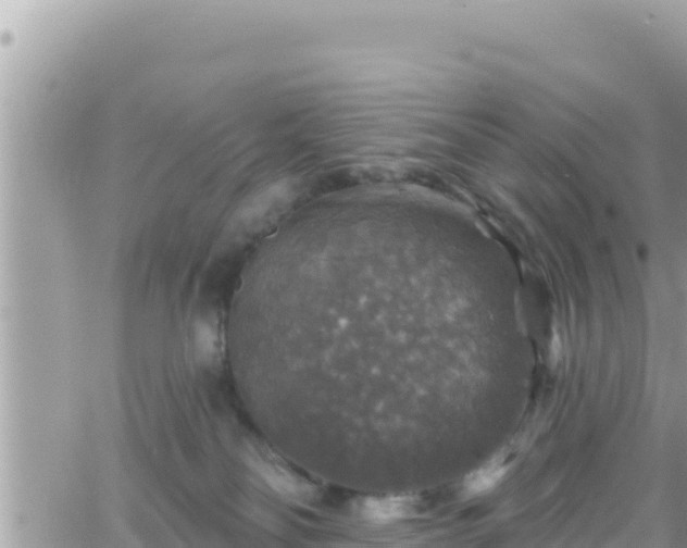 X0000066510134200603241316