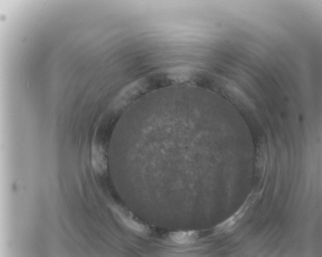 X0000066510136200603241316