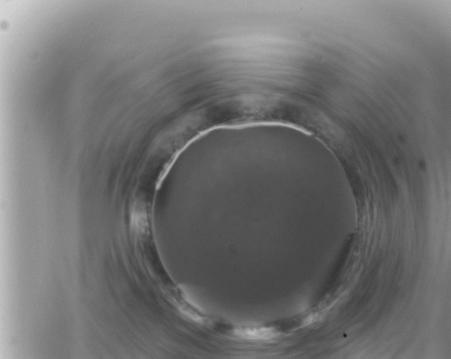 X0000066510137200603241316