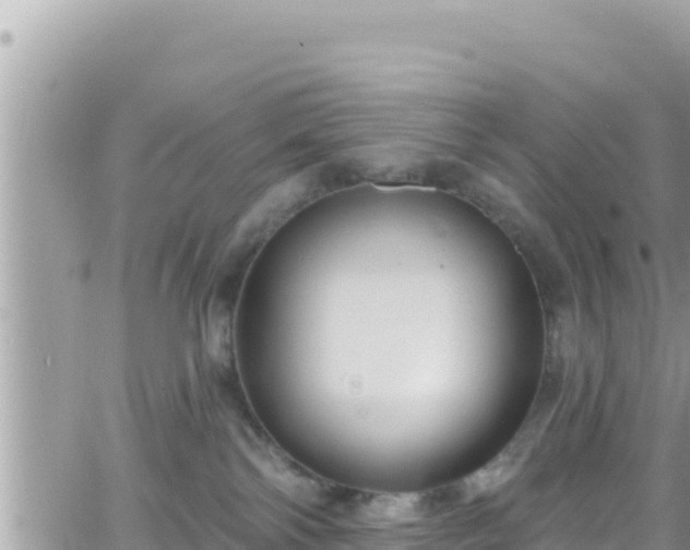 X0000066510138200603241316