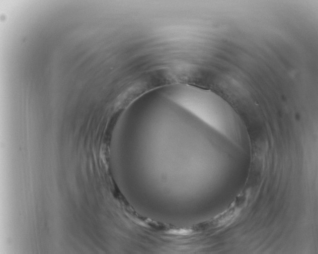 X0000066510139200603241316