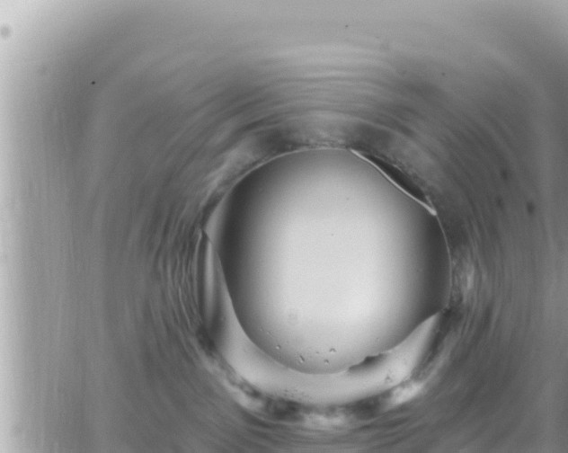 X0000066510141200603241316