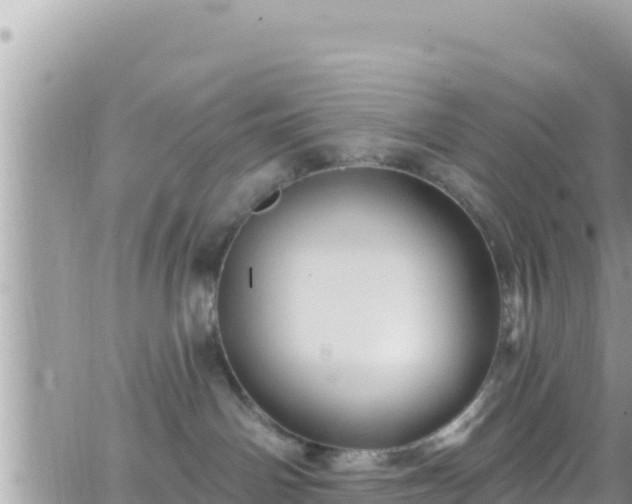 X0000066510142200603241316