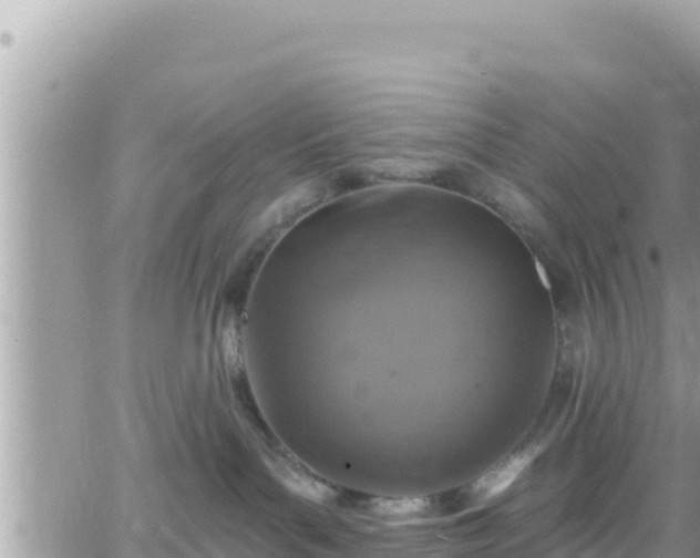 X0000066510143200603241316