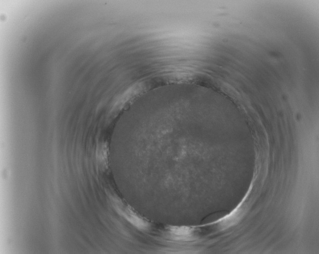 X0000066510144200603241316