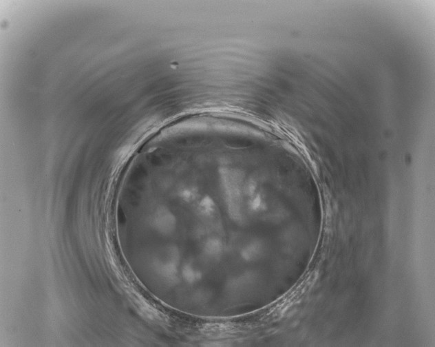 X0000066510145200603241315