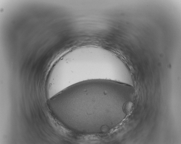 X0000066510146200603241315