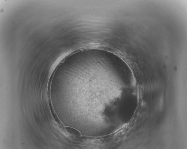 X0000066510147200603241315