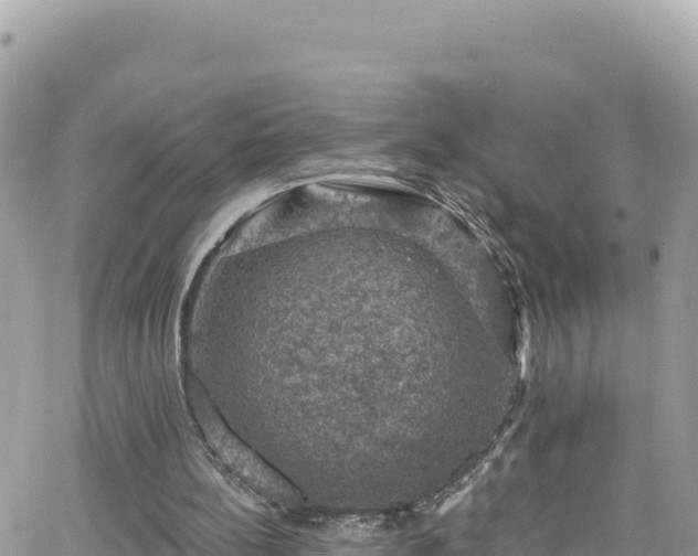 X0000066510148200603241315