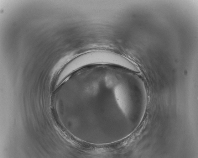 X0000066510149200603241315