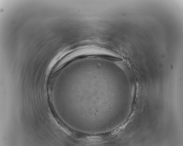 X0000066510150200603241315