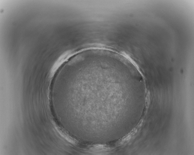 X0000066510151200603241315