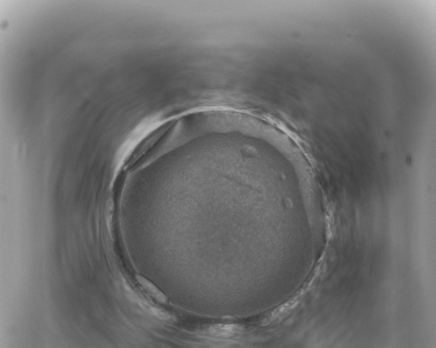 X0000066510152200603241315