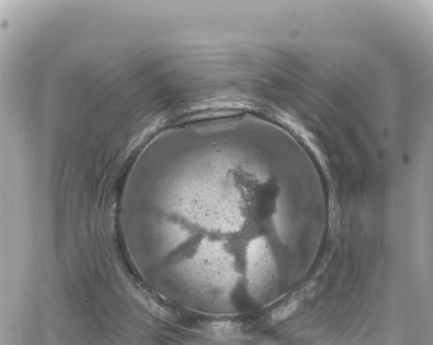 X0000066510153200603241315