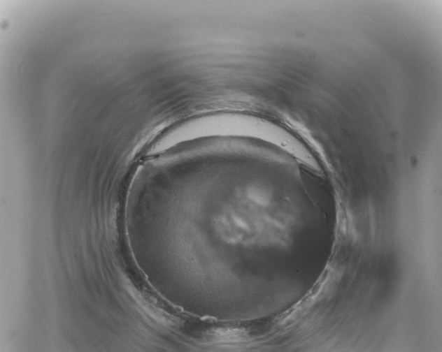 X0000066510154200603241315