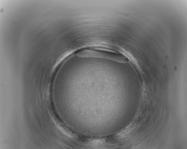 X0000066510155200603241315