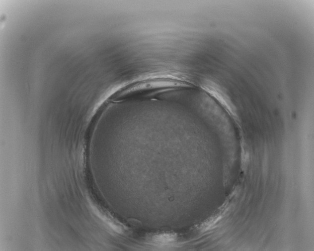 X0000066510156200603241315